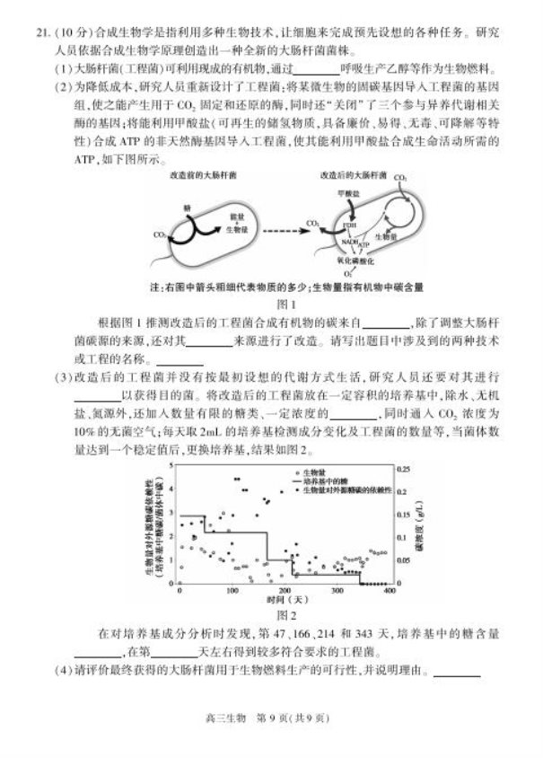 2020北京朝阳高三生物一模试题