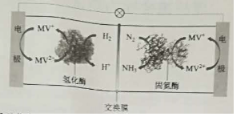 2019年河南高考理综试题及答案【精校版】