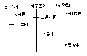 2019年河南高考理综试题及答案【精校版】