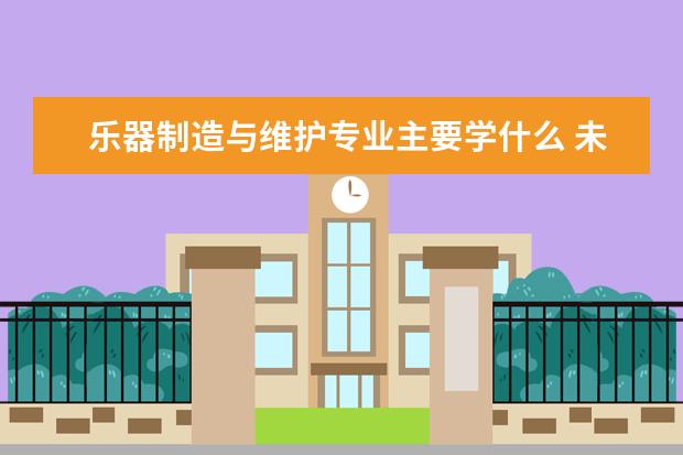 乐器制造与维护专业主要学什么 未来从事什么工作