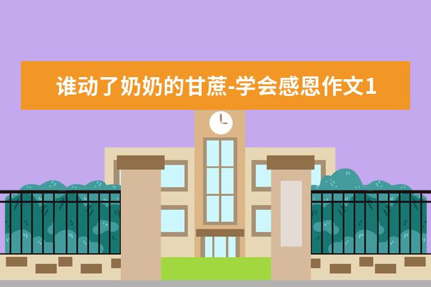 谁动了奶奶的甘蔗-学会感恩作文1200字左右