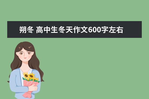 朔冬 高中生冬天作文600字左右