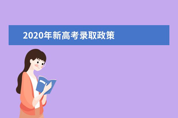 2020年新高考录取政策