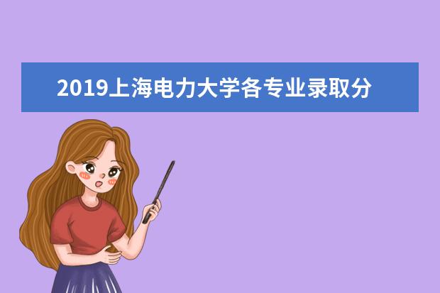 2019上海电力大学各专业录取分数线汇总