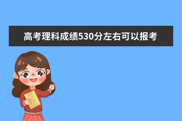 高考理科成绩530分左右可以报考上什么大学