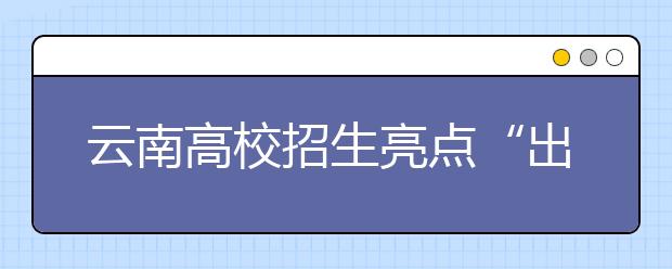 云南高校招生亮点“出炉”