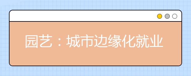 园艺:城市边缘化就业 艺术展示技术