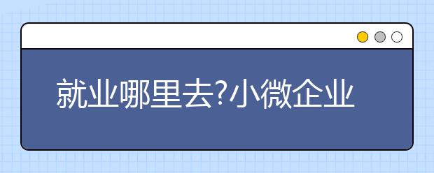 就业哪里去?小微企业成主力