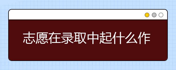 志愿在录取中起什么作用？