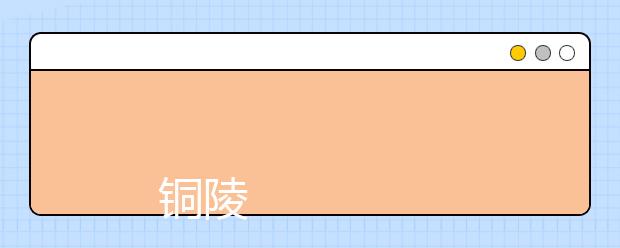 
      铜陵职业技术学院2019年招生章程
  