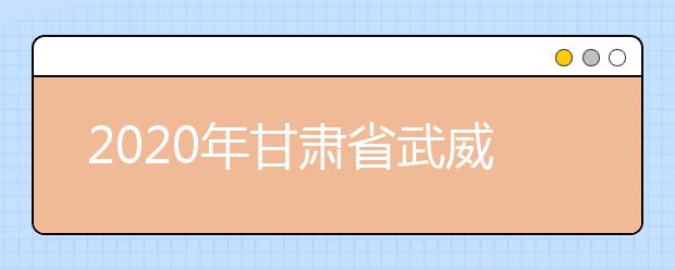 2020年甘肃省武威地区成人高考报名官方网站