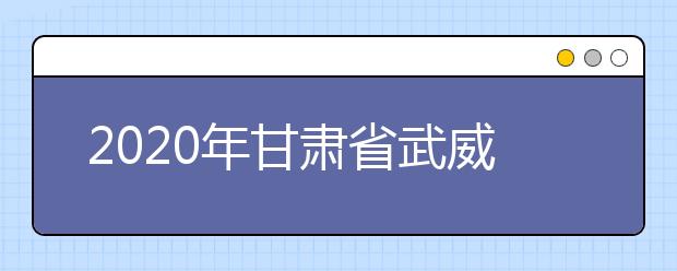 2020年甘肃省武威地区成人高考报名官方网站