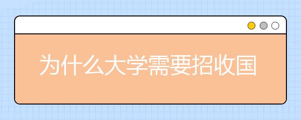 为什么大学需要招收国际研究生