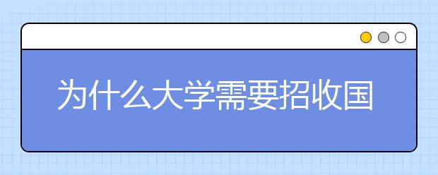 为什么大学需要招收国际研究生