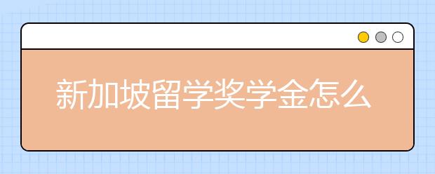 新加坡留学奖学金怎么申请？