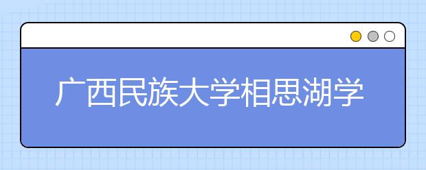 广西民族大学相思湖学院2020年承认各省美术统考成绩