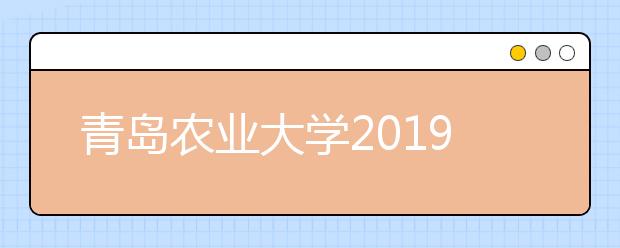 青岛农业大学2019年承认美术统考成绩