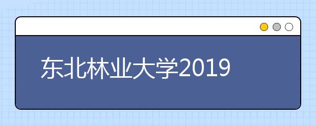 东北林业大学2019年承认各省美术统考成绩