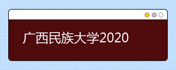 广西民族大学2020年艺术类招生简章