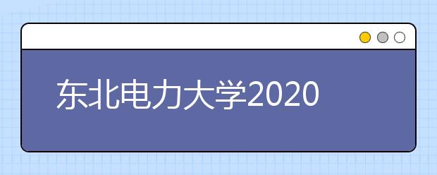 东北电力大学2020年艺术类专业招生简章