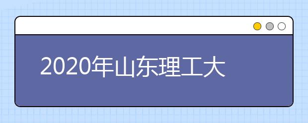 2020年山东理工大学美术类本科拟招生计划