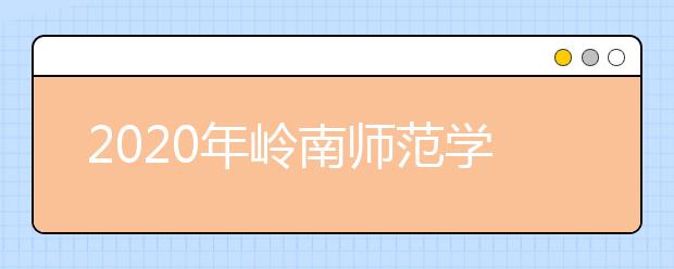 2020年岭南师范学院艺术类本科招生专业与招生省份