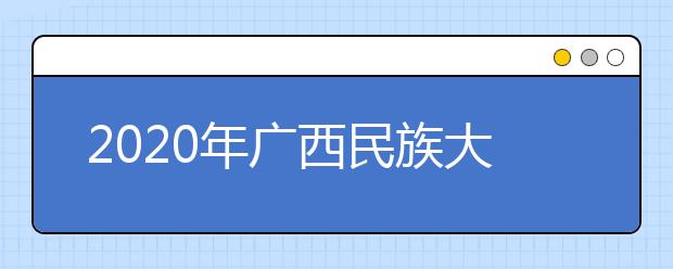 2020年广西民族大学相思湖学院艺术类本科专业招生计划