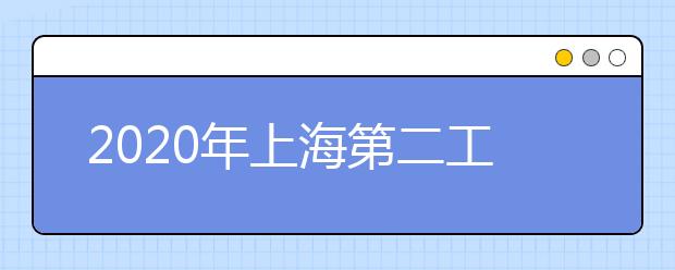 2020年上海第二工业大学美术类本科拟招生计划