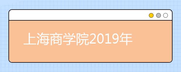 上海商学院2019年美术类本科专业招生计划