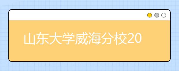 山东大学威海分校2020年艺术类专业录取规则