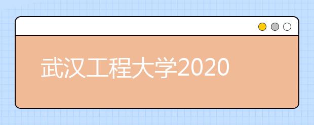 武汉工程大学2020年美术类专业高考录取规则