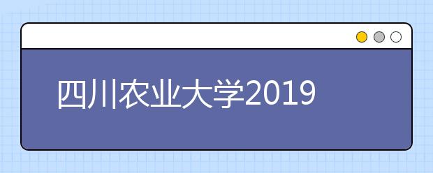 四川农业大学2019年美术类招生专业与录取规则