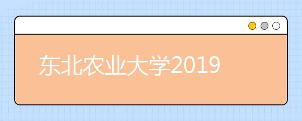 东北农业大学2019年河南省艺术类专业录取线