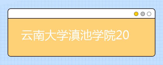 云南大学滇池学院2015-2017年美术类录取线