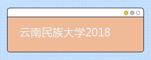 云南民族大学2018年美术类录取分数线