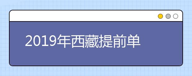 2019年西藏提前单独录取艺体类本科批投放计划290名