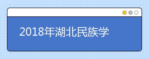 2018年湖北民族学院艺术类招生专业