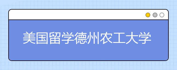 美国留学德州农工大学有哪些艺术专业