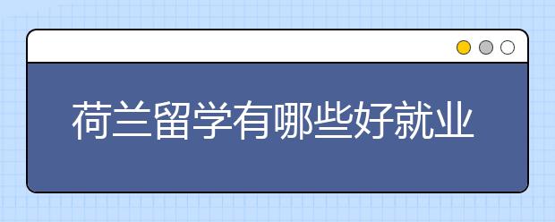 荷兰留学有哪些好就业的专业?