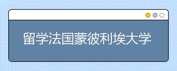 留学法国蒙彼利埃大学硕士专业有哪些