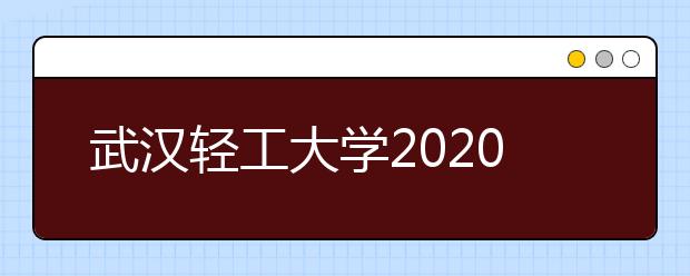 武汉轻工大学2020年承认美术统考成绩