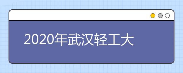 2020年武汉轻工大学美术类本科专业拟招生计划