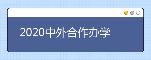 2020中外合作办学的大学有哪些