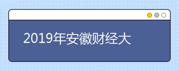 2019年安徽财经大学美术类本科专业录取分数线