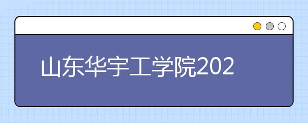 山东华宇工学院2020年艺术类专业招生章程