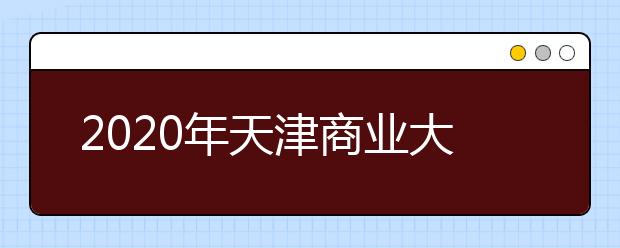 2020年天津商业大学美术类专业招生计划