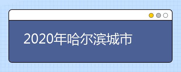 2020年哈尔滨城市职业学院单独招生计划