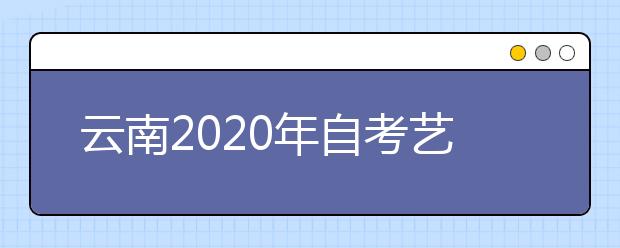 云南2020年自考艺术教育（专升本）专业计划