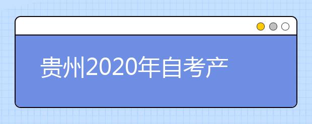 贵州2020年自考产品设计（环境艺术设计方向）（专升本）专业计划