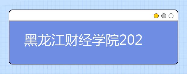 黑龙江财经学院2020年美术类本科分省分专业招生计划